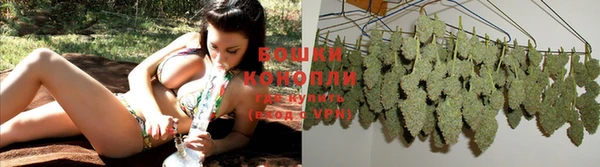 стафф Покровск