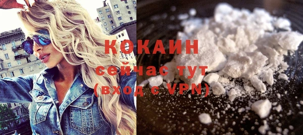 дурь Покачи