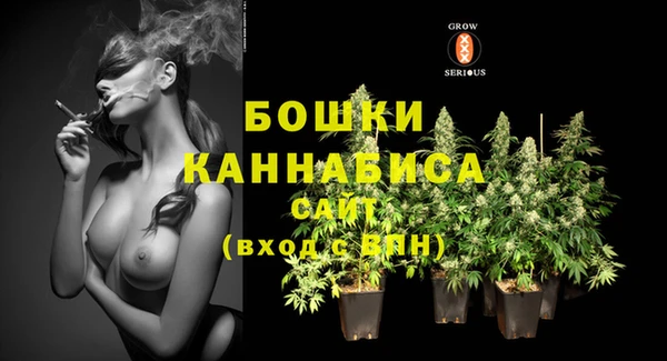 дурь Покачи