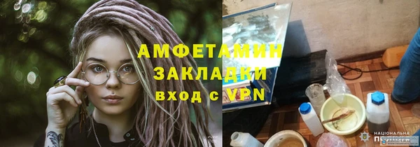 МДПВ Пересвет